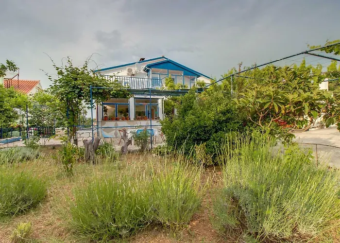 Malvina 말리로시니